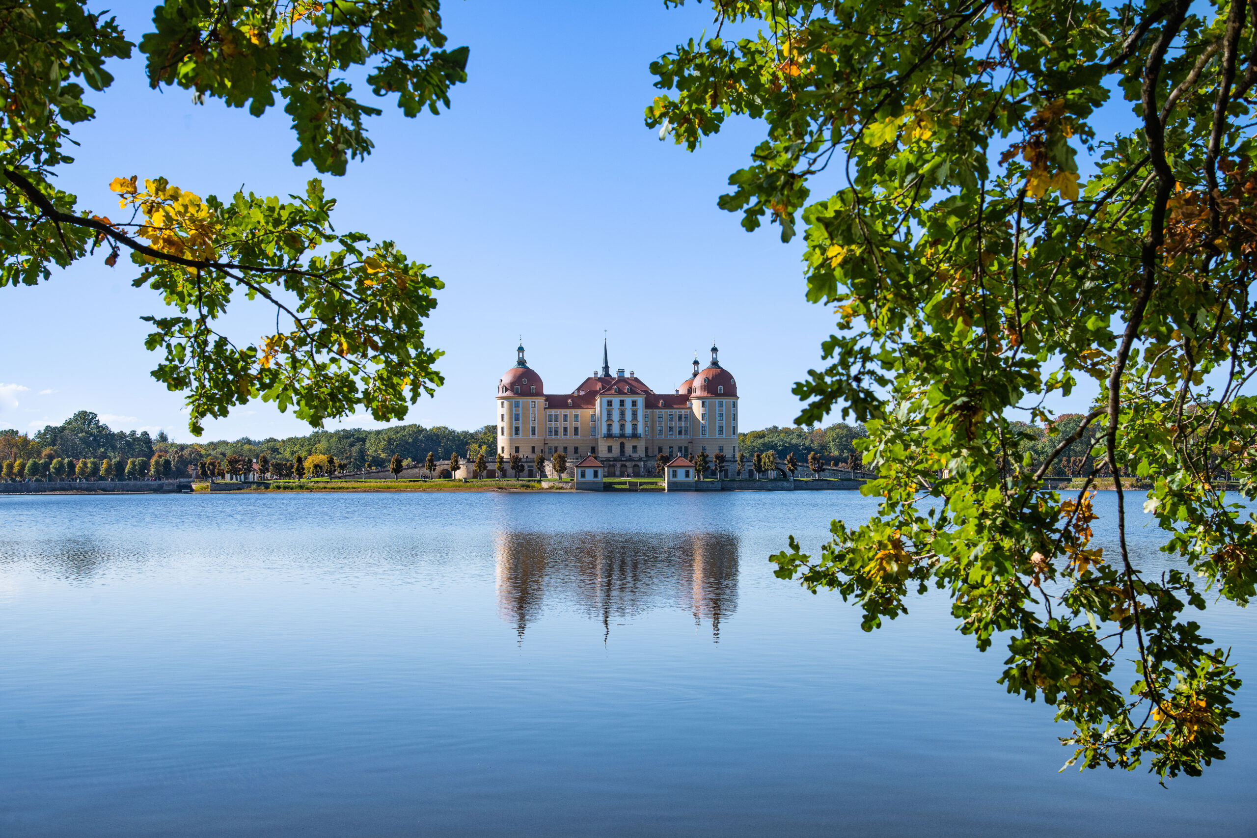 Mehr über den Artikel erfahren Schloss Moritzburg